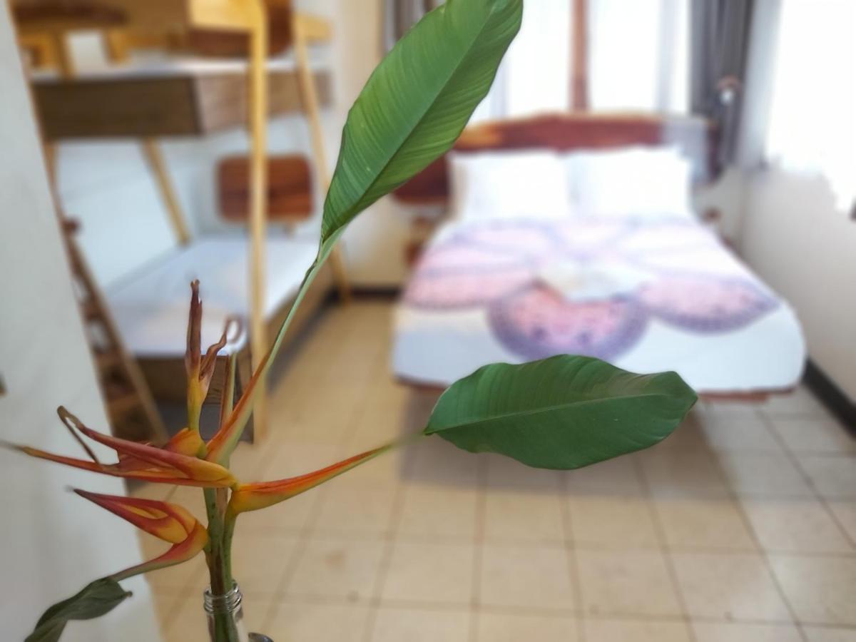 Casa Benjamin Linder Hotel Managua Kültér fotó