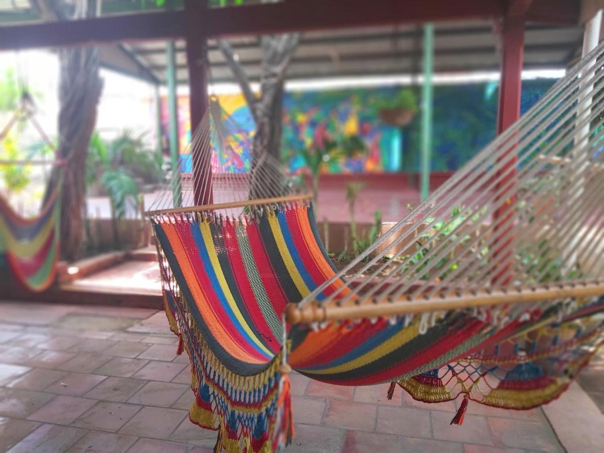 Casa Benjamin Linder Hotel Managua Kültér fotó