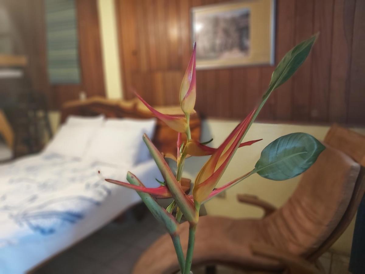Casa Benjamin Linder Hotel Managua Kültér fotó